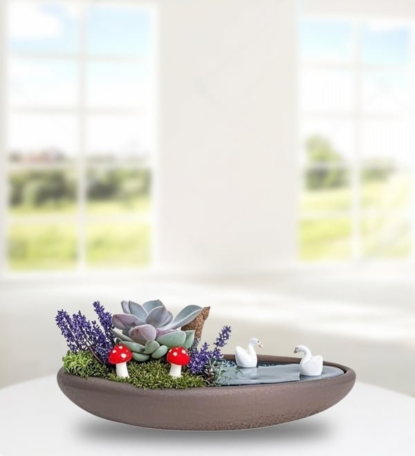 Kayık Saksıda Echeveria ve Lavanta Teraryum