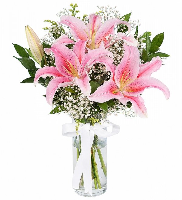 Pembe Kazablanka Lilyum