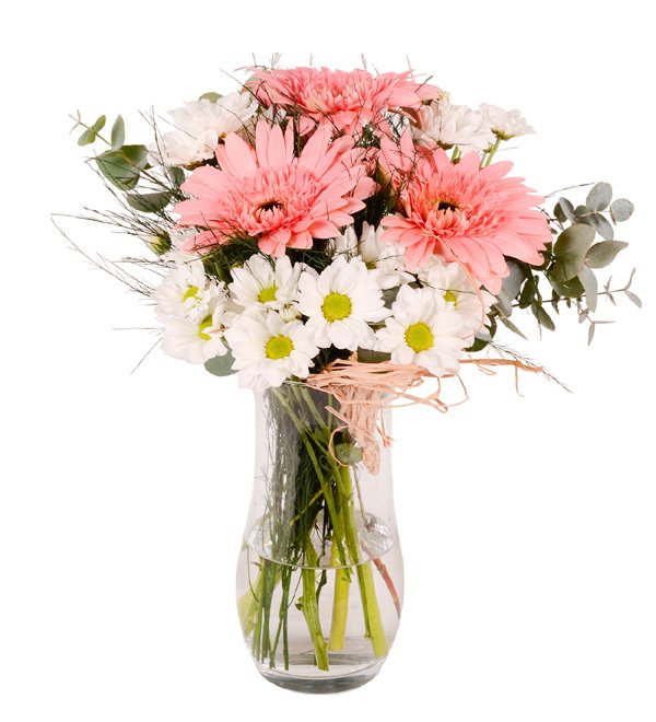 Cam Güzeli Gerbera ve Papatya