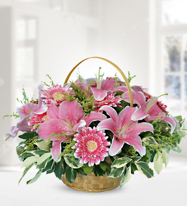 Pembe Lilyum ve Gerbera