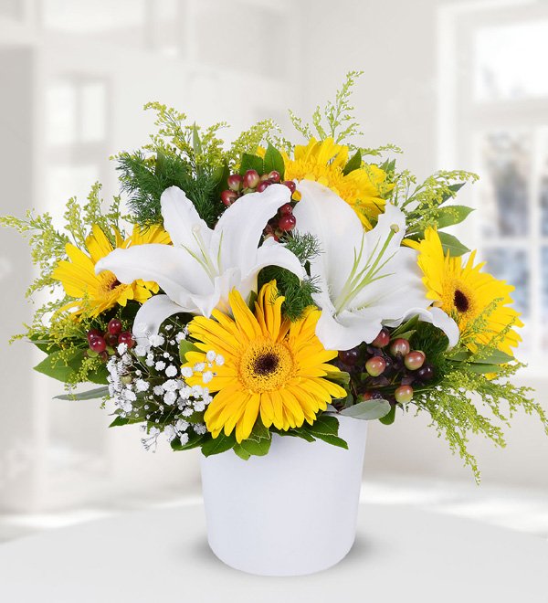 Lilyum Sarı Gerbera