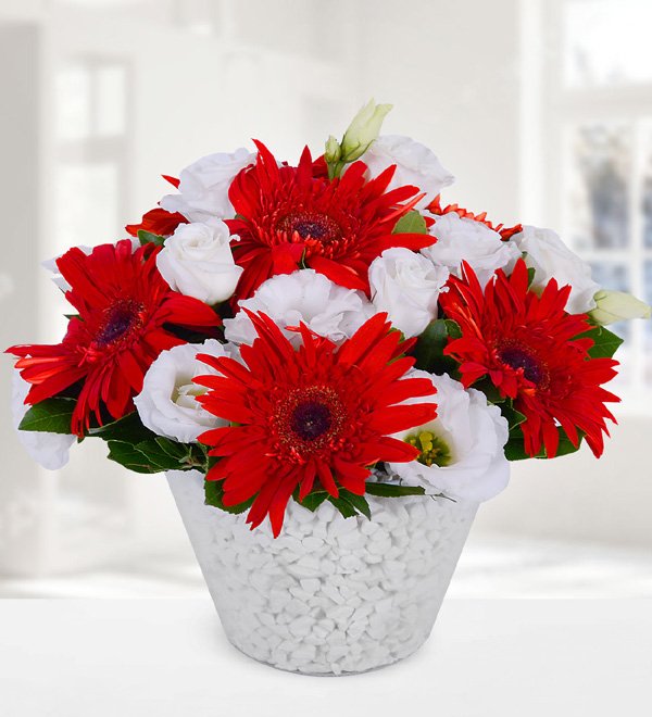 Kırmızı Gerbera ve Lisyantus