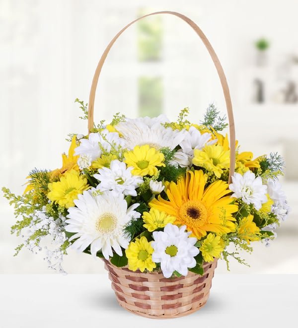 Beyaz Gerbera Sarı Krizantemler