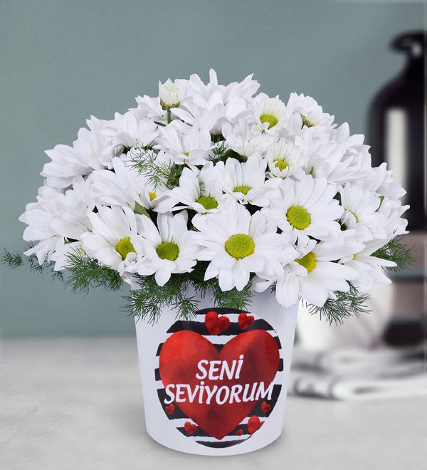 Beyaz Papatya Aranjmanı