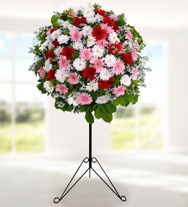 Renkli Gerbera Ferforje