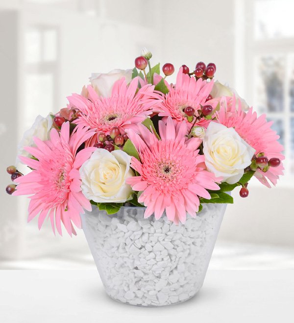 Seramikte Beyaz Gül ve Gerbera