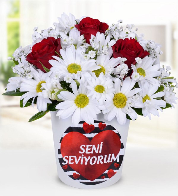 Papatya Kırmızı Gül