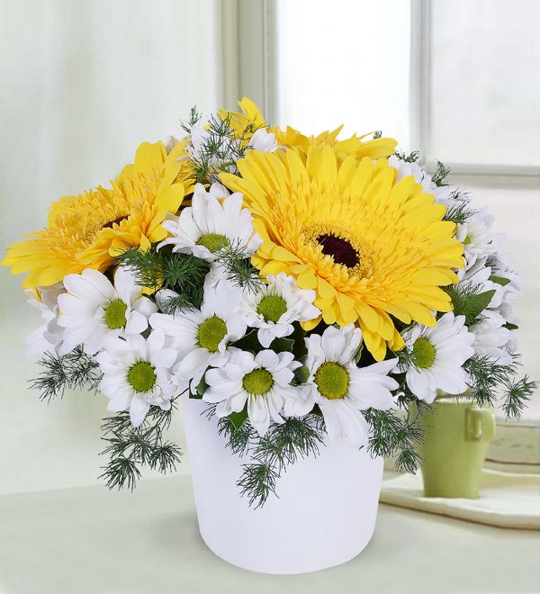 Sarı Gerbera ve Papatyalar