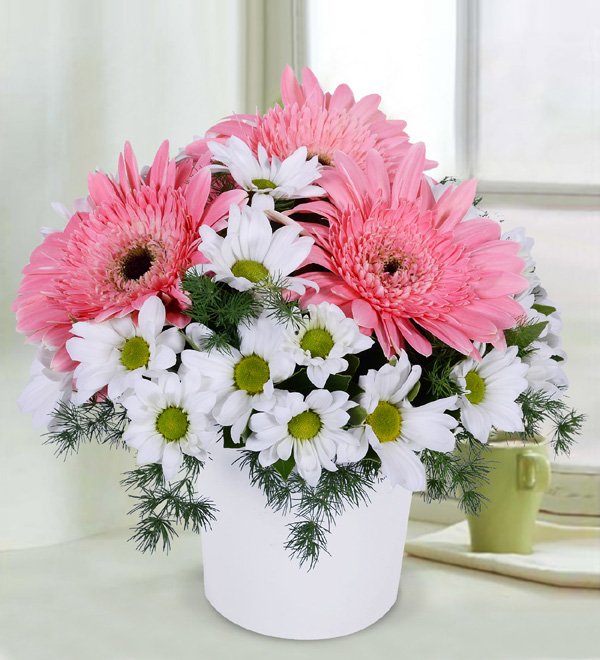 Gerbera Papatya Aranjmanı