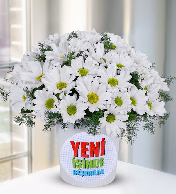 Yeni İş Temalı Vazoda Papatyalar
