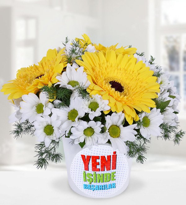Yeni İş Temalı Sarı Gerbera ve Papatyalar