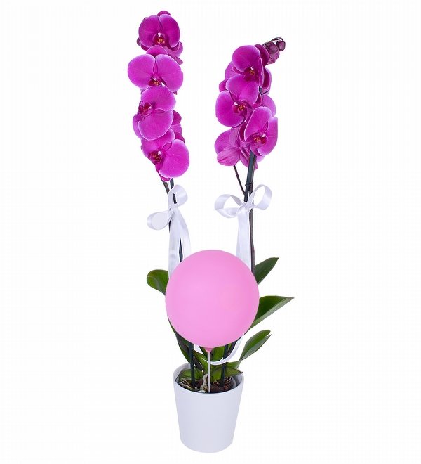 Pembe Balonlu Kız Bebek Mor Orkide